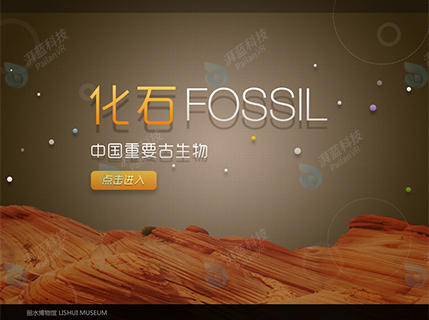 化石.jpg