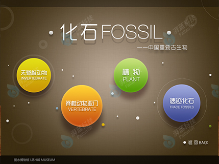 化石01.jpg