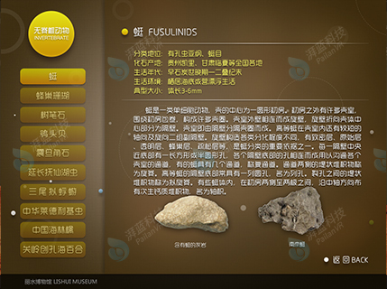 化石02.jpg